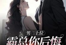求助这本男二上位,霸总你后悔也没用小说在哪里可以看完结版-冰糖文学