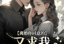 离婚你同意的,又求我复婚干什么小说最新章节在哪里可以免费看-冰糖文学