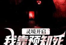 灵境开启,我靠预知死亡技能无敌精彩章节阅读(陈冥肖洁)免费阅读大结局-冰糖文学