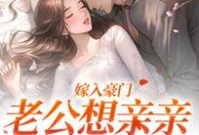 求助这本嫁入豪门，老公想亲亲就先虐渣小说在哪里可以看完结版-冰糖文学