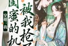 穿越:我闺蜜的机缘被我抢了热门小说(梅久)在线阅读无弹窗-冰糖文学