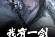 主人公是林霄的小说我有一剑,白刃染红尘免费阅读-冰糖文学