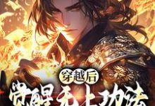 主角是宋终的小说穿越后,觉醒无上功法的我要复仇了在哪免费看-冰糖文学