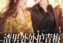 跪求主角是方毅沈绮的小说书名叫什么-冰糖文学