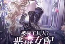 宋以宁许继琛小说的结局在哪可以看，被标工具人？恶毒女配甩男主求自由免费阅读完结版-冰糖文学
