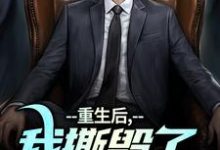重生后,我撕毁了离婚协议书(主角陆泽白糯)完结版免费阅读-冰糖文学
