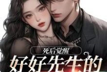 好好先生的真实面目在线看，连薰晏落小说大结局在哪免费看-冰糖文学