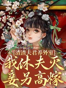 渣渣夫君养外室，我休夫灭妾另高嫁免费阅读，叶宛卿萧时衍大结局无弹窗