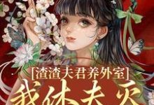 小说渣渣夫君养外室,我休夫灭妾另高嫁主角叶宛卿萧时衍免费阅读-冰糖文学