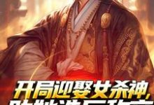 萧阳萧君临在线阅读,开局迎娶女杀神,助她造反称帝!小说完结版章节-冰糖文学