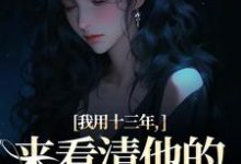 我用十三年,来看清他的真心无常小说最新章节在哪里可以免费看-冰糖文学
