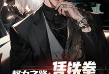 主角是步青云王东林的小说权力之路:凭铁拳,我令黑势力退避在哪免费看-冰糖文学
