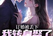 订婚被丢下,我转身娶了娇娇千金完结版江辰苏密免费阅读大结局-冰糖文学