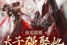 完结版掠爱甜婚:太子强娶她入东宫在哪免费看,贺玥宁如颂小说在线阅读-冰糖文学