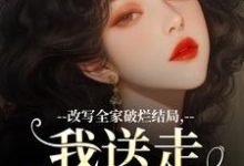跪求主角是许糖糖林婉宁的小说书名叫什么-冰糖文学
