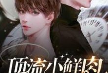 求助这本顶流小鲜肉每天只想官宣小说在哪里可以看完结版-冰糖文学