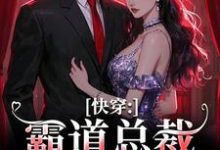 快穿：霸道总裁别太爱（叶兮禾康易初）完结版免费阅读-冰糖文学
