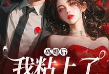 离婚后,我粘上了那位大佬(舒愿陆骁)最新章节免费在线阅读-冰糖文学