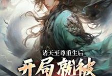 诸天至尊重生后,开局就被频频挑衅在线看,顾云小说大结局在哪免费看-冰糖文学