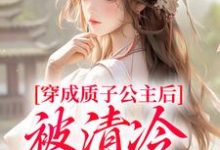 穿成质子公主后，被清冷太子宠了！大结局，阮今禾殷珩小说无广告阅读-冰糖文学