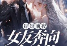 结婚前夜，女友奔向白月光小说最新章节在哪里可以免费看-冰糖文学