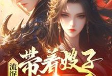 主角是齐海的小说流氓悍匪：带着嫂子黑吃黑在哪免费看-冰糖文学