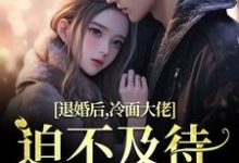 黎九霍骁在线阅读,退婚后,冷面大佬迫不及待要娶我小说完结版章节-冰糖文学