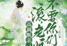 瞿王温婉小说免费阅读最新章节列表,高调断亲:滚,老娘不要你们了!小说在线看-冰糖文学