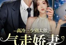 求助这本高冷三少别太傲,气走娇妻你完了!小说在哪里可以看完结版-冰糖文学