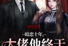 小说暗恋十年，大佬他终于持证上岗了主角沈清沅贺景川免费阅读-冰糖文学