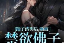 小说踹了渣男后，她被禁欲佛子宠上天主角温霜序陆晏回免费阅读-冰糖文学