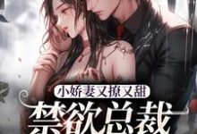 小娇妻又撩又甜，禁欲总裁宠上瘾在线看，江熹季向聿小说大结局在哪免费看-冰糖文学