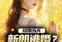 结婚当天,新郎逃婚?我当场改嫁!精彩章节在线免费阅读(商悠悠霍元琛)-冰糖文学