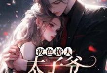 夜色撩人，太子爷为她乱了心免费阅读，楚璃徐砚周大结局无弹窗-冰糖文学