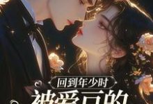 回到年少时,被爱豆的死对头盯上了大结局,初夏林澈小说无广告阅读-冰糖文学