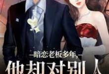 暗恋老板多年,他却对别人温柔相待热门小说(顾楠裴颂忱)在线阅读无弹窗-冰糖文学