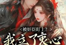 被奸臣盯上?我立了衷心小弟人设!小说资源求分享,被奸臣盯上?我立了衷心小弟人设!秦烟年沈知也在线阅读-冰糖文学