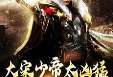 跪求主角是赵昺张世杰的小说书名叫什么-冰糖文学