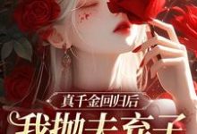 苏黎陆敬煊最新章节真千金回归后,我抛夫弃子独自美丽免费阅读-冰糖文学