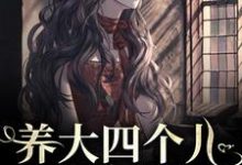 养大四个儿，八个孙，凄惨离世后完结版黄晚晴宋长武免费阅读大结局-冰糖文学