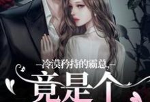 主人公是宋诗予段斯昀的小说冷漠矜持的霸总,竟是个纯爱战士免费阅读-冰糖文学