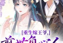 重生嫁王爷，前世负心人竟是我？（沈挽谢景御）最新章节在线阅读-冰糖文学