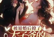 小说被退婚后撩了太子爷的检察官小叔主角陆砚昇乔曦免费阅读-冰糖文学