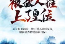 小说被追杀的我，被敌人推上了皇位（夏天司马兰）最新章节在哪看-冰糖文学