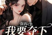 跪求主角是商扶砚符诱安的小说书名叫什么-冰糖文学