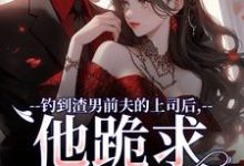 小说钓到渣男前夫的上司后，他跪求放过（苏锦萧云锋）最新章节在哪看-冰糖文学