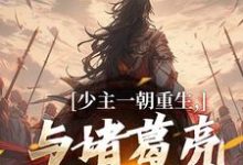 少主一朝重生，与诸葛亮兴汉室（刘禅诸葛亮）完结版免费阅读-冰糖文学
