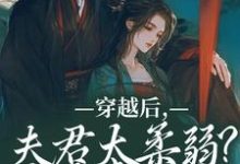 跪求主角是沈微萧御衡的小说书名叫什么-冰糖文学