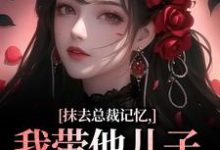 求助这本抹去总裁记忆，我带他儿子回苗寨小说在哪里可以看完结版-冰糖文学