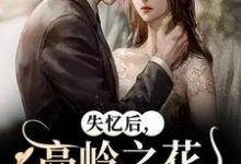 失忆后,高岭之花他又撩又哄无弹窗黎漾裴政臣最新章节列表-冰糖文学